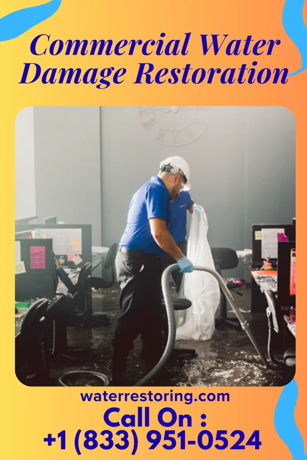 Commercial Water Damage Restoration in Nissequogue, NY