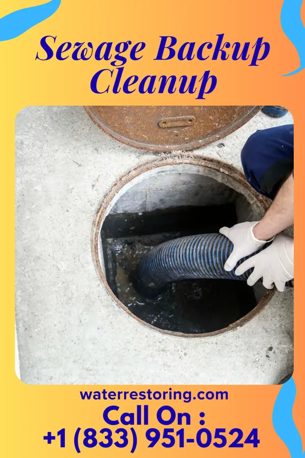 Sewage Backup Cleanup in Nissequogue, NY