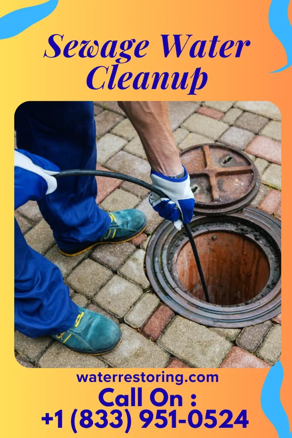 Sewage Water Cleanup in Nissequogue, NY