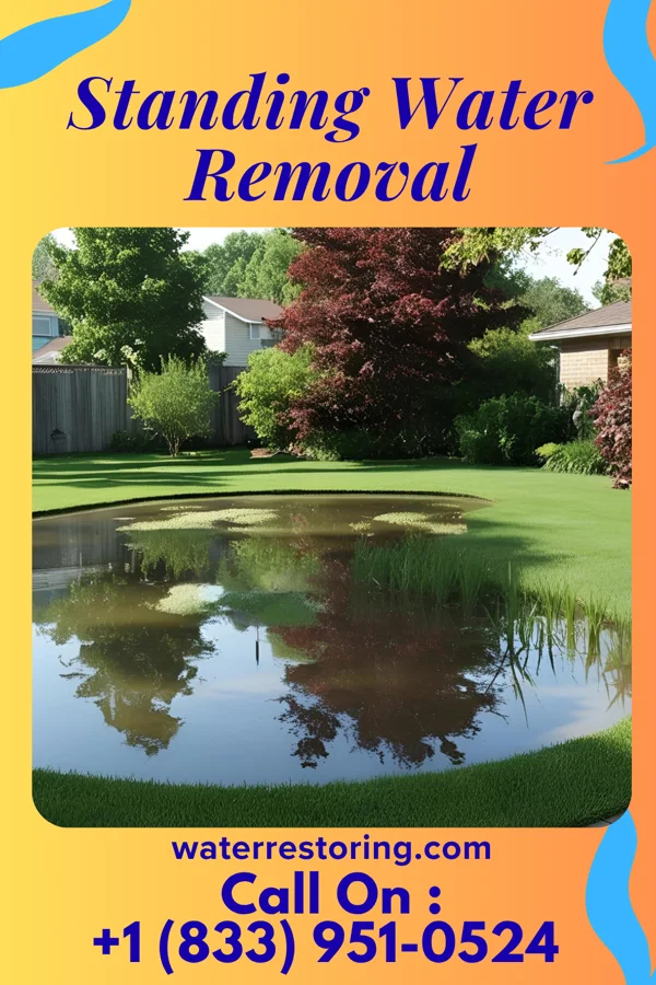 Standing Water Removal in Nissequogue, NY